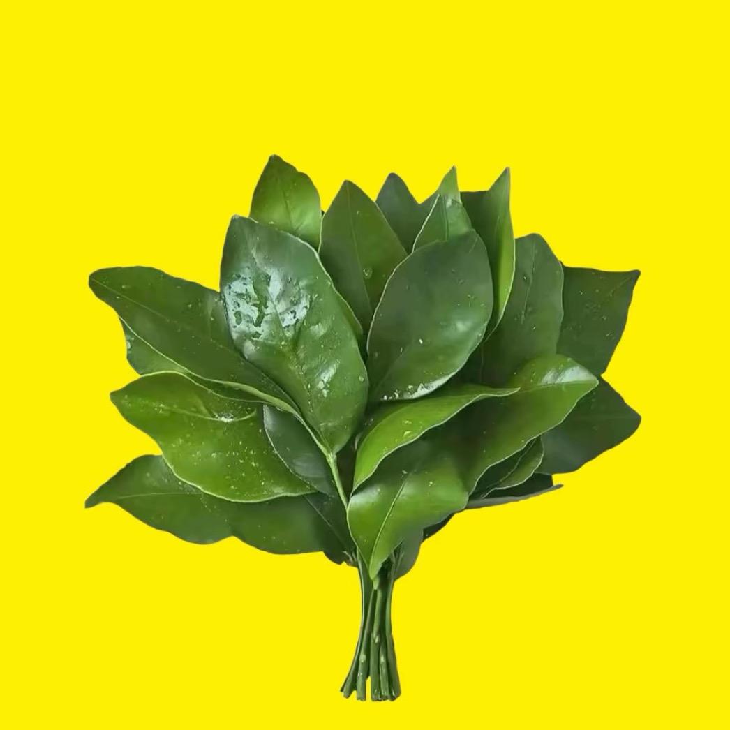花开了🌸