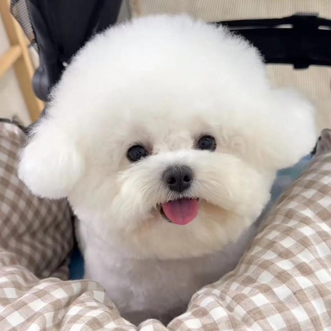 鸡饿了