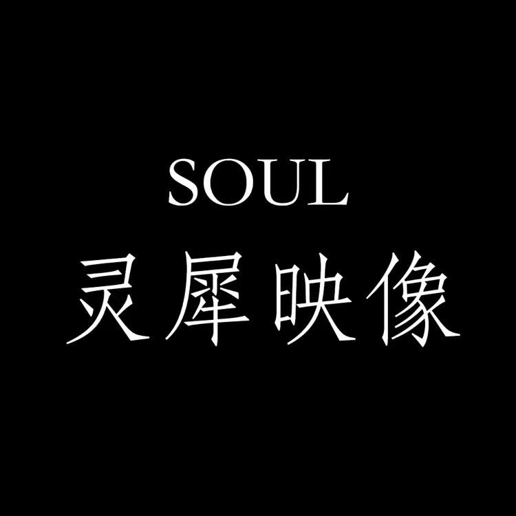 Soul灵犀映像婚纱摄影-泾源