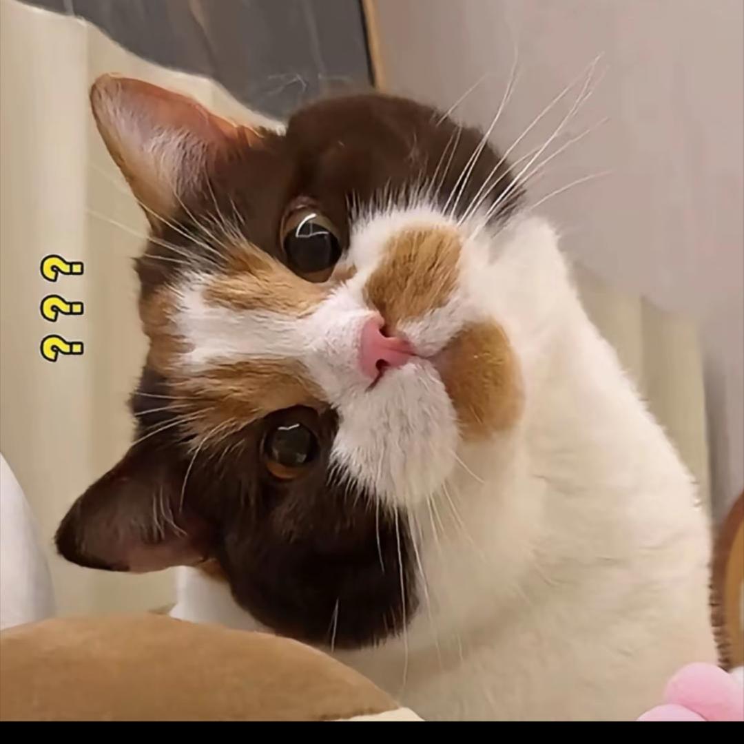 热游i