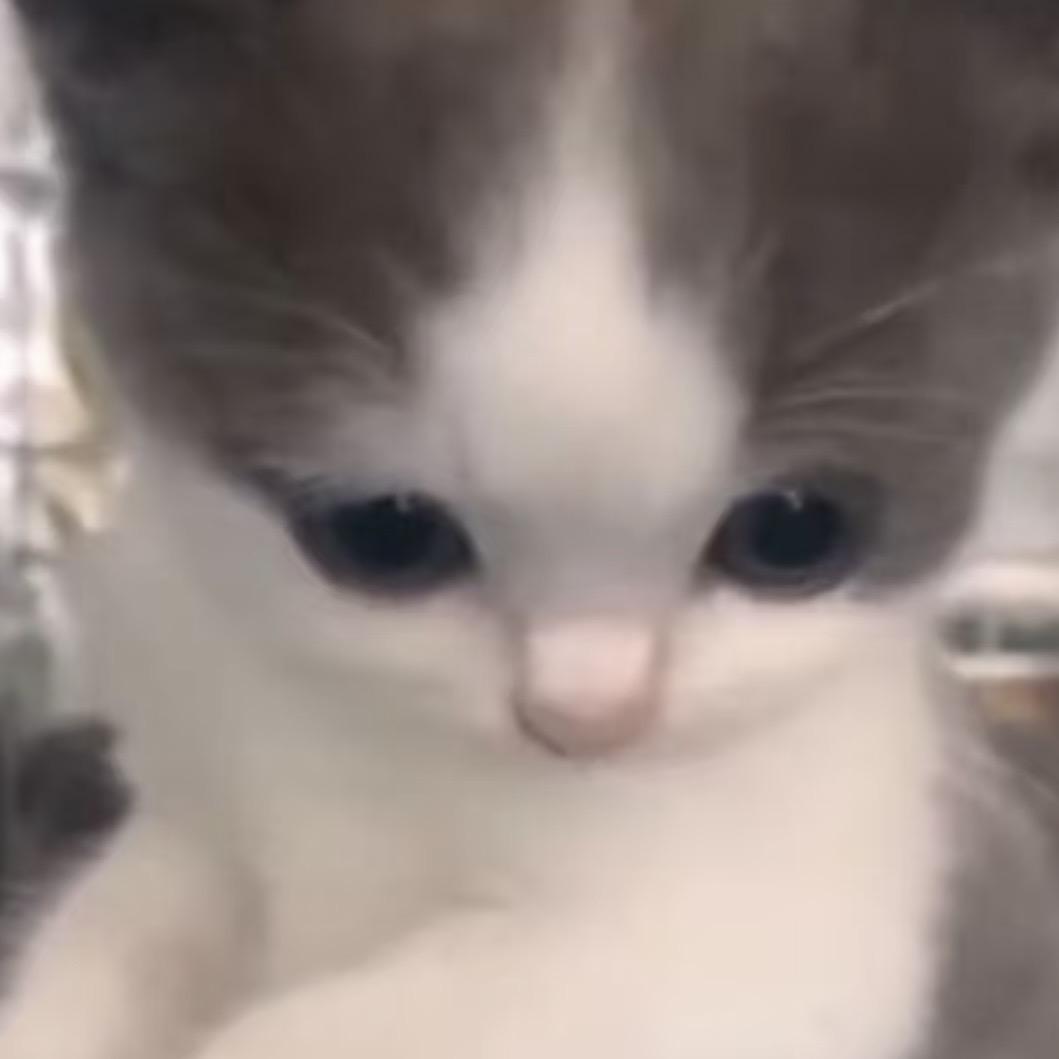 ·u·