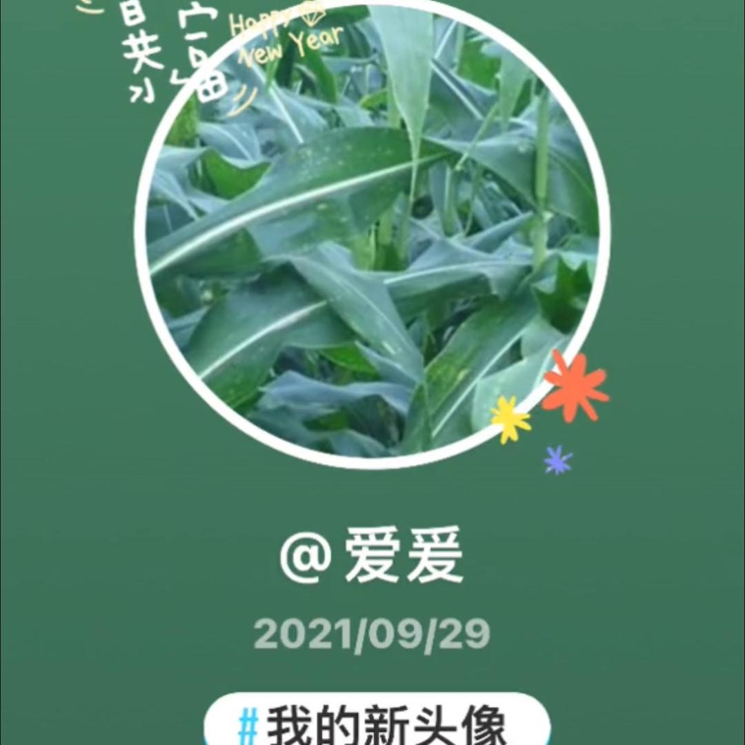 …..bb取关了取关了