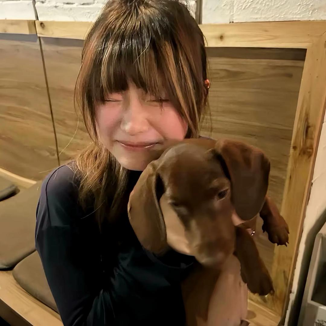 拼好饭吃多了被老公打