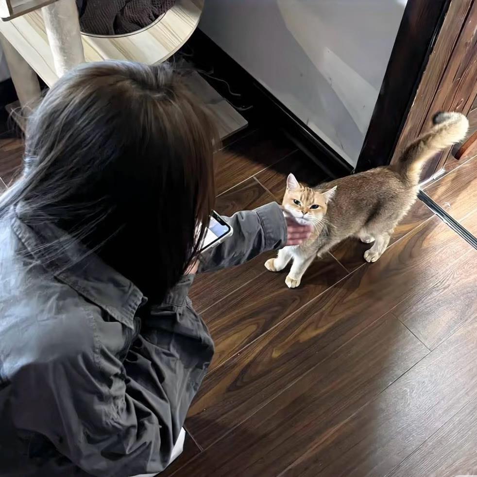 爱吃咸甜芝士🧀