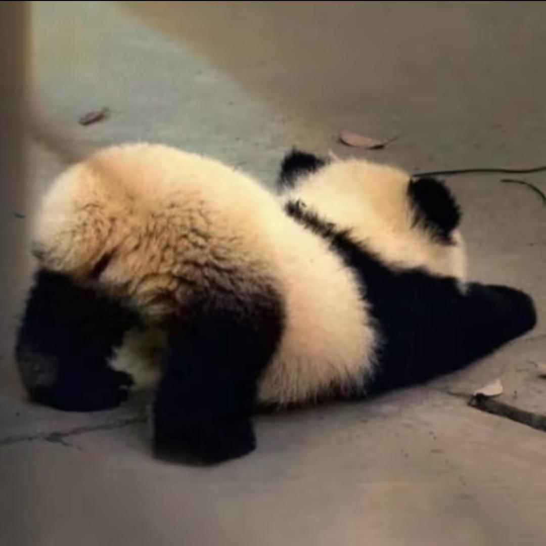 拒绝emo