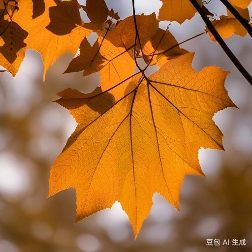 桐叶生活企业店桐叶生活卫生巾
