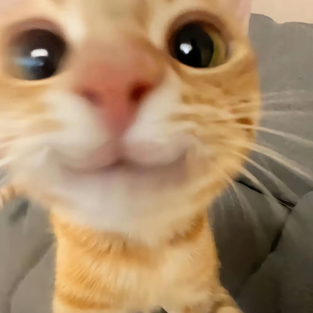 我就是个香财宝你要咋（1205生日版！）