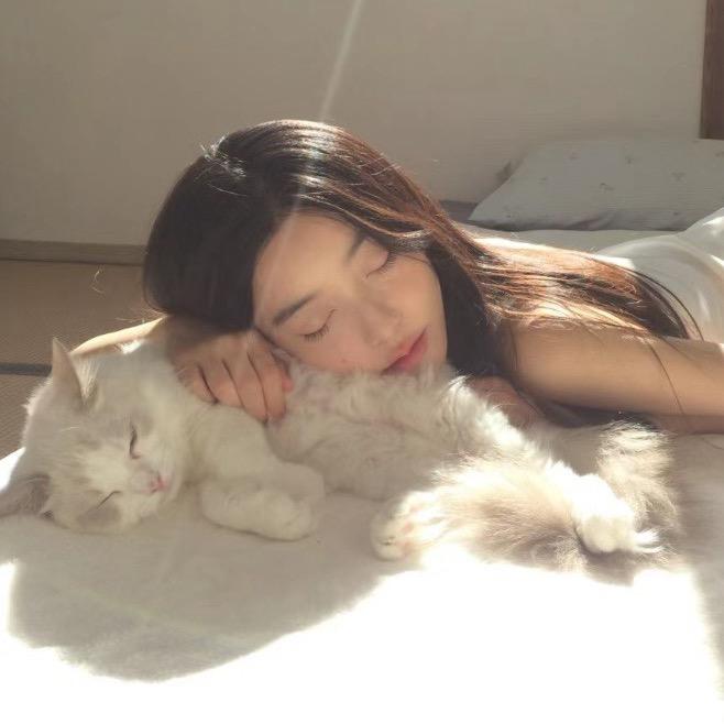 白菜菜菜