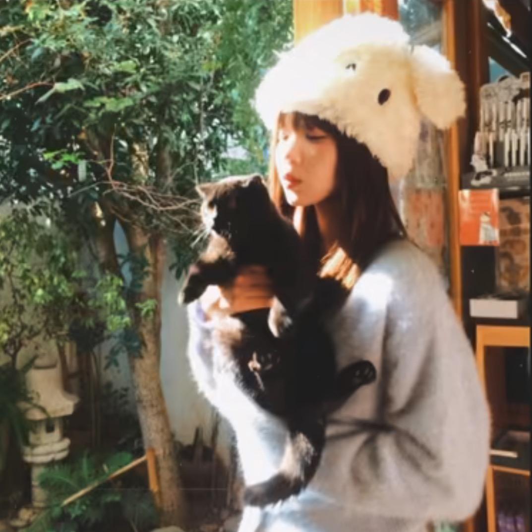 笨蛋大美女
