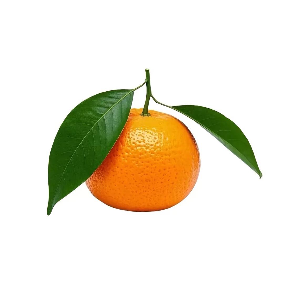 愫.