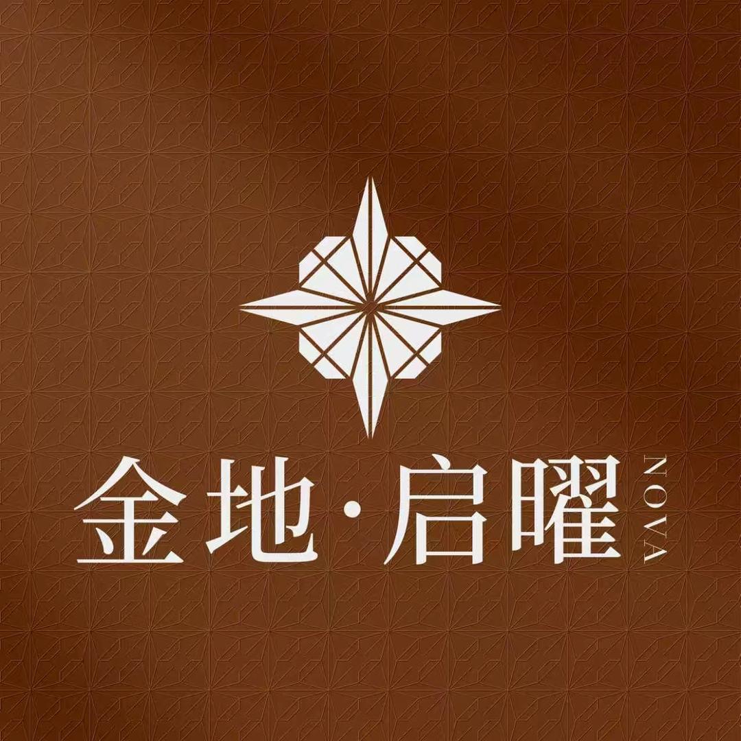 深圳金地启曜（亿年）