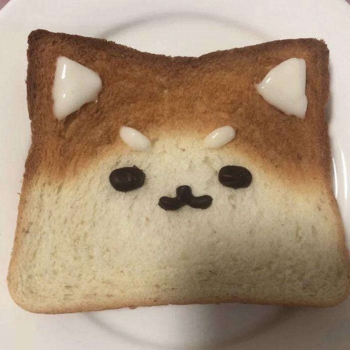 核桃叽里呱啦
