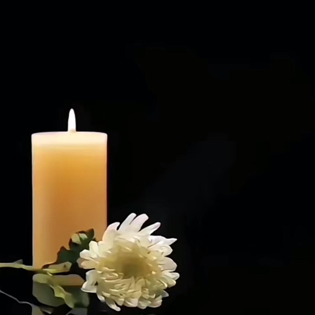 卓雅❤️