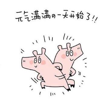 🍉睿の🌸