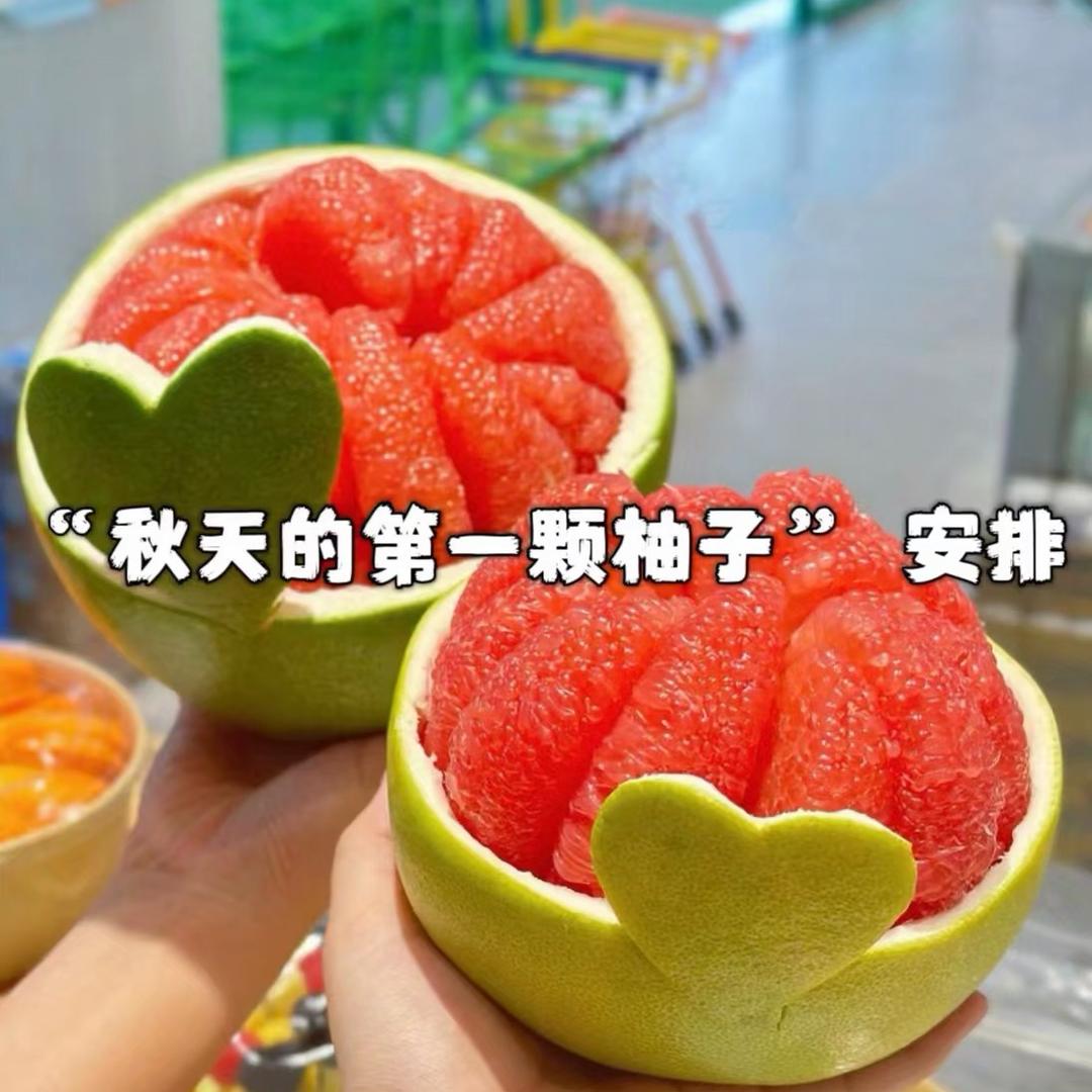 茜茜果园（产地直发）