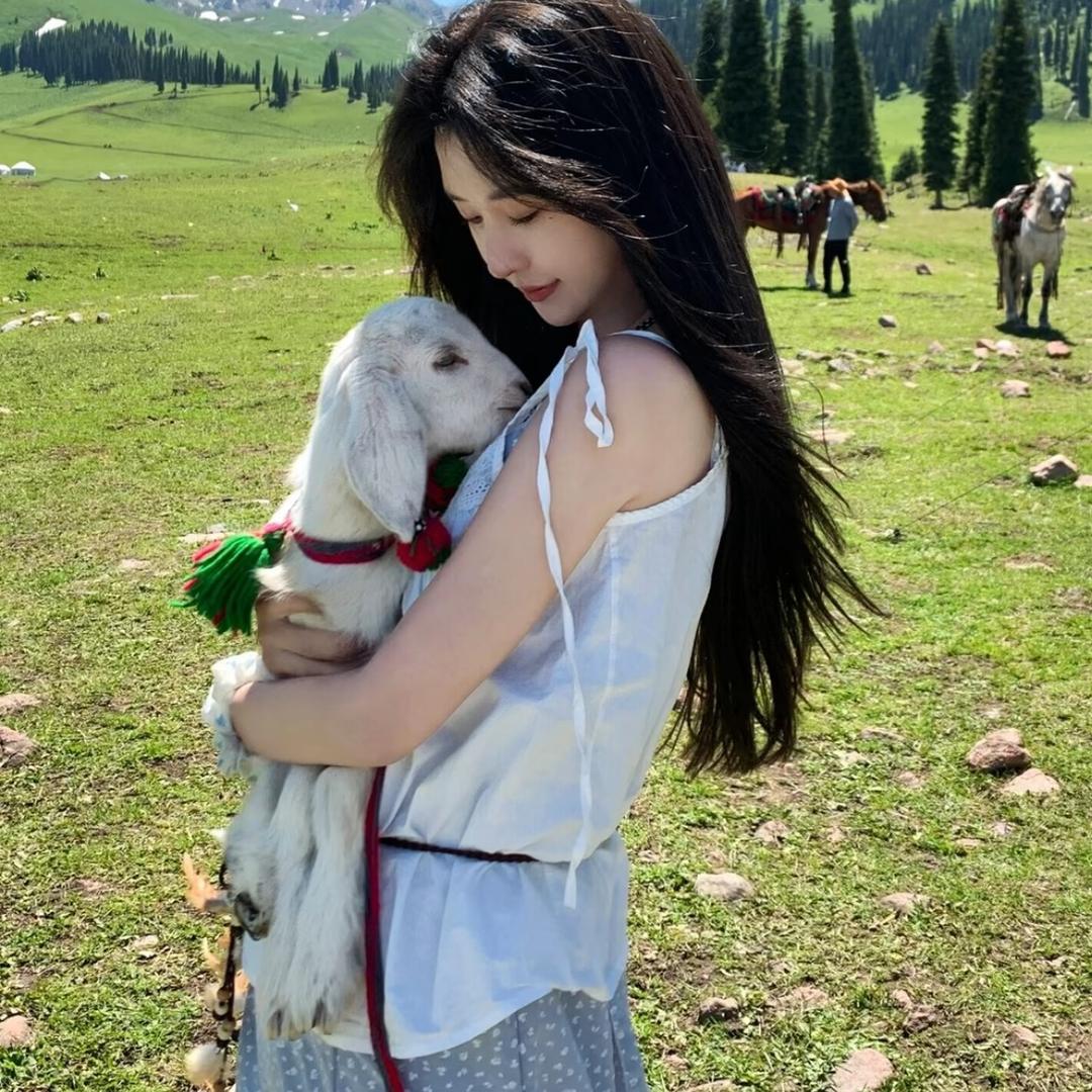 洋宝.🐏