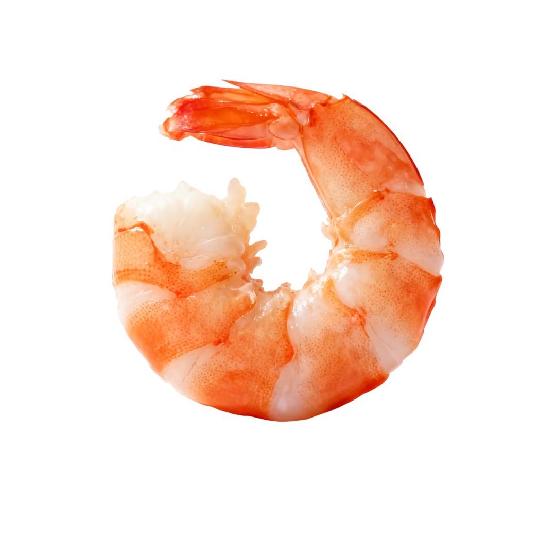 达利扁🐿️🐢🐍🦭