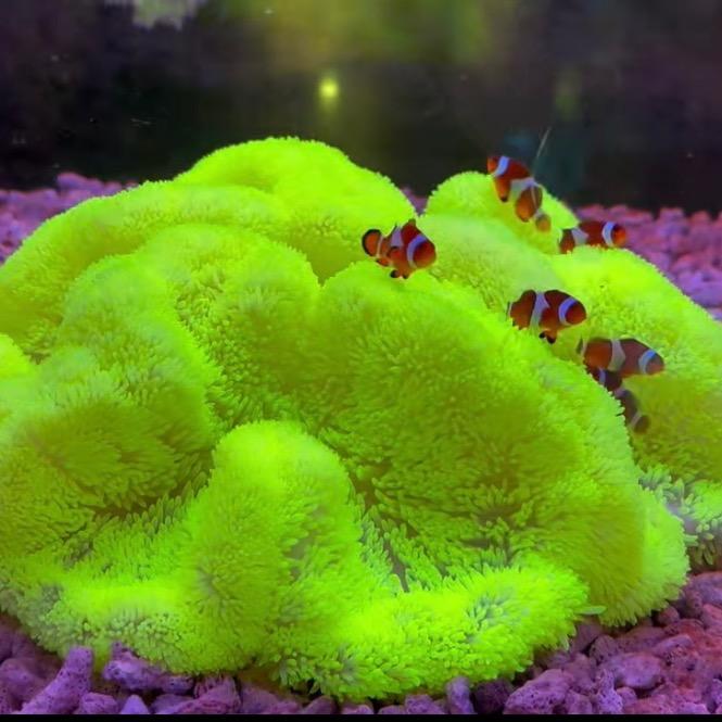 海之韵海洋工作室