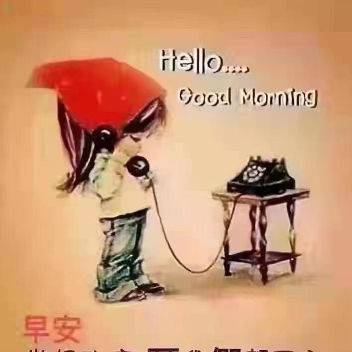 玉米