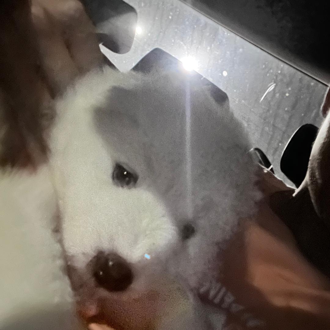 真是烦