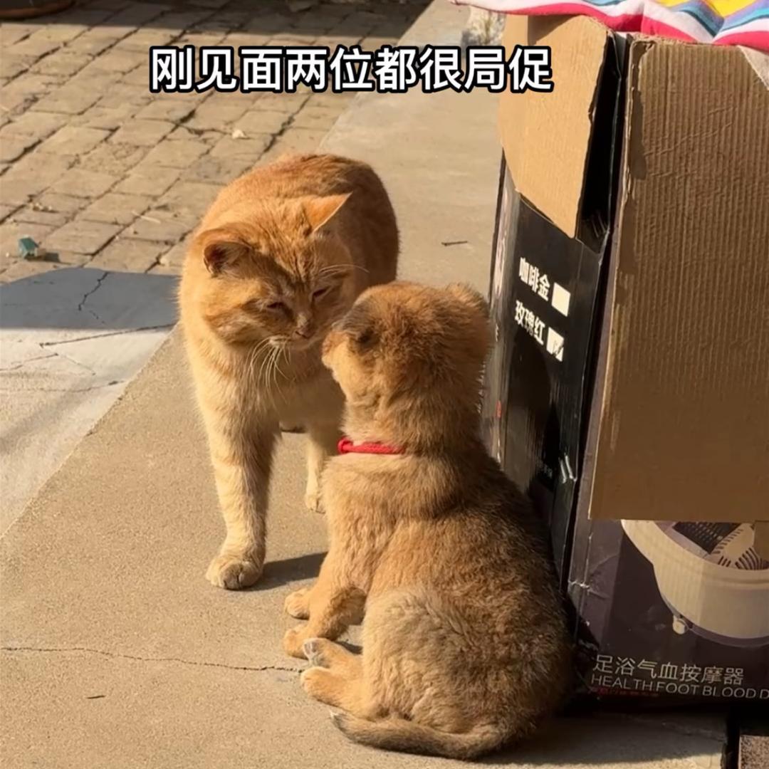 云南鼎峰网约车就业中心