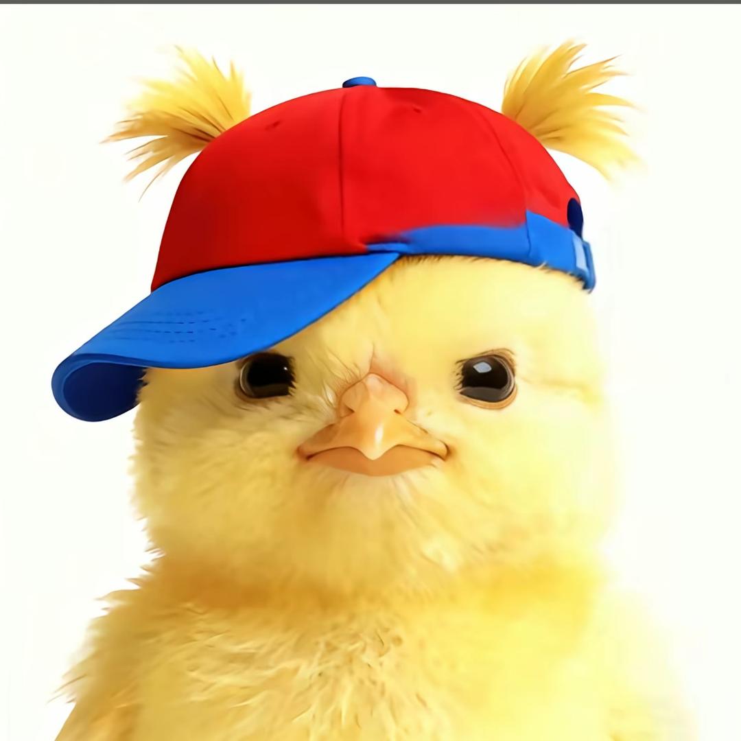 今晚吃可乐鸡翅