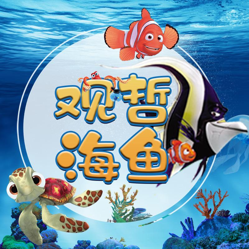 观哲海鱼-萌新训练营
