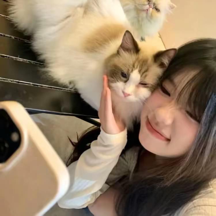 少熬夜^