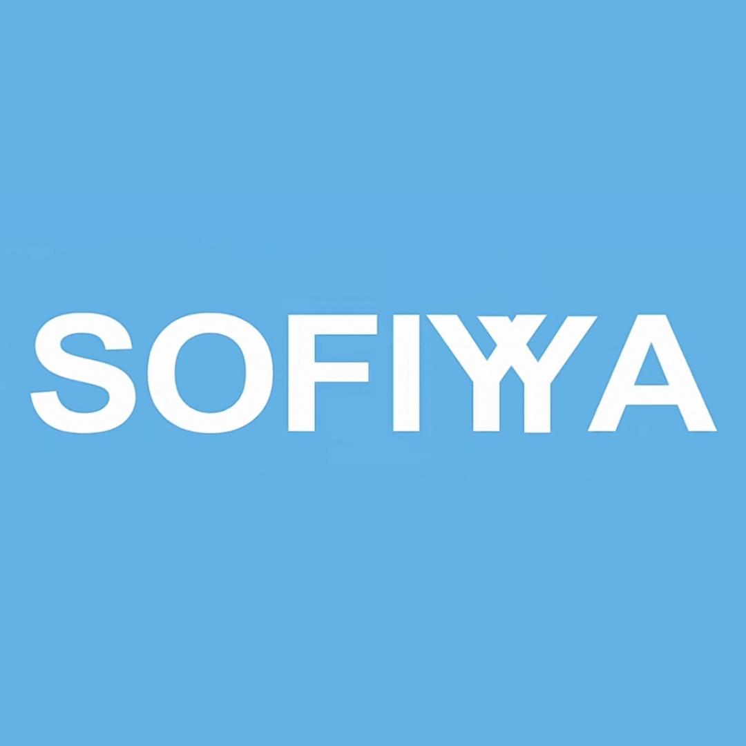 SOFIYYA陶瓷餐具