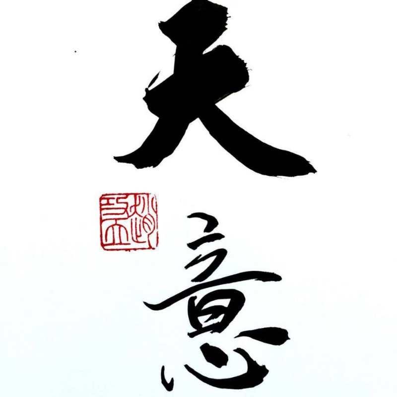不负如来不负卿