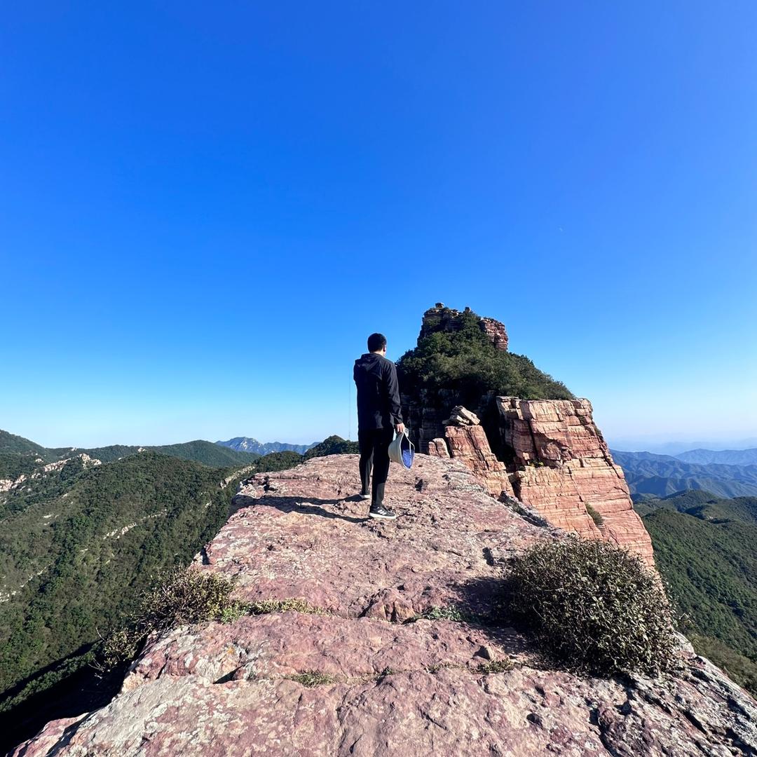 东东东东东