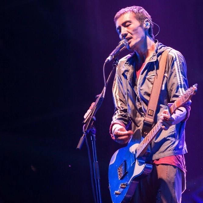 普普通通一棵树