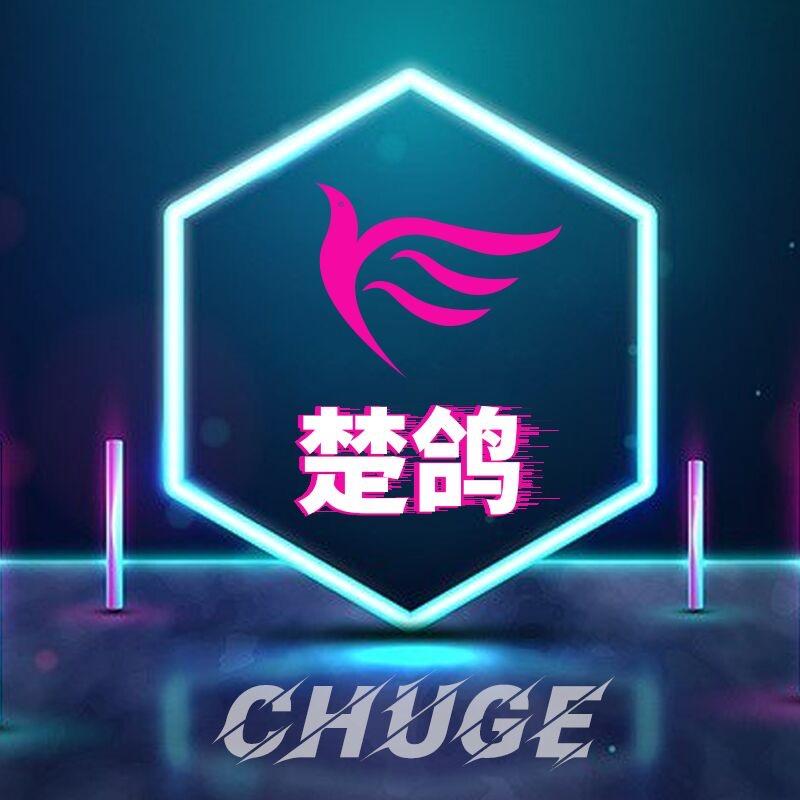 楚鸽天亿龙数码专卖店