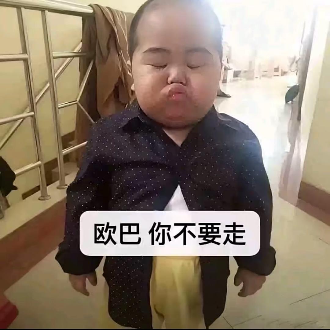 ㅤㅤㅤ会自己睡觉