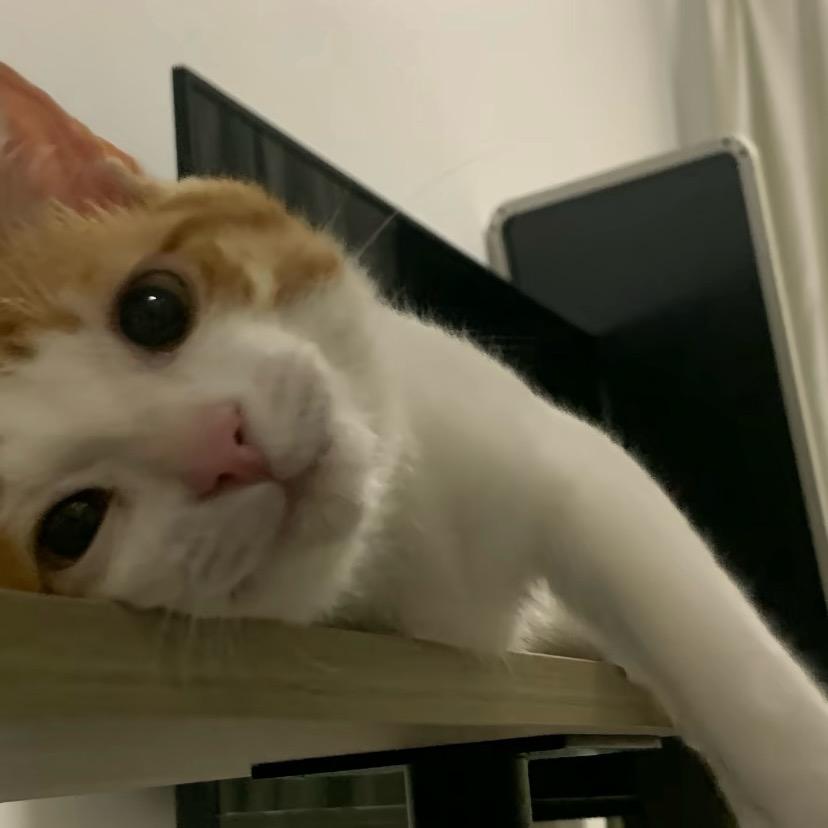 礼遇