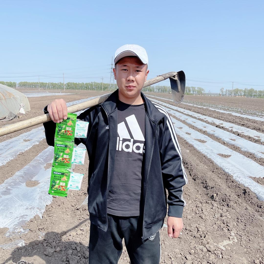 成子种业