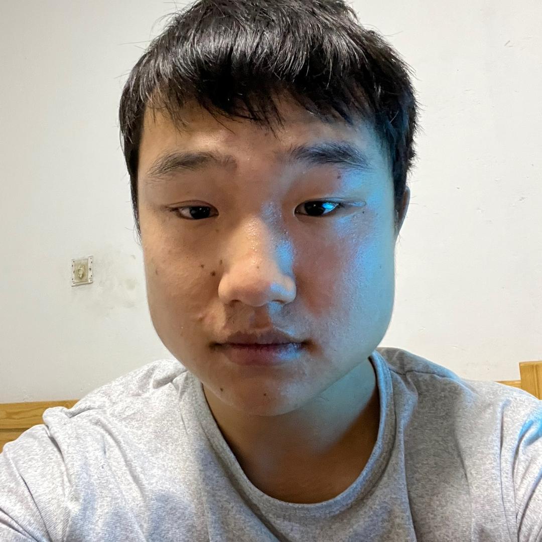 磊子