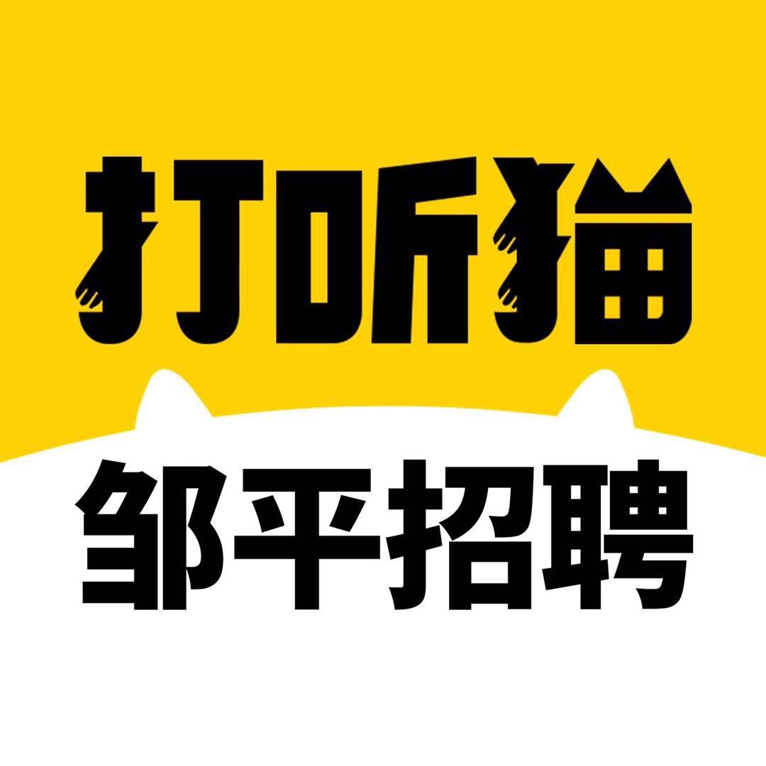 邹平打听猫