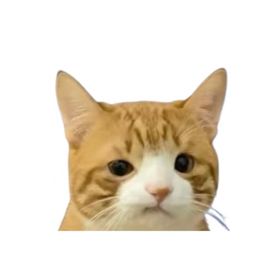 一颗猫猫头^_   ̫  _ ̥`