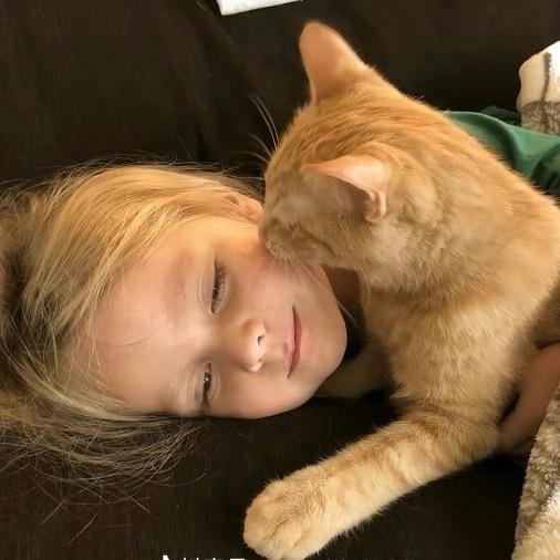 当过舔狗买过萌