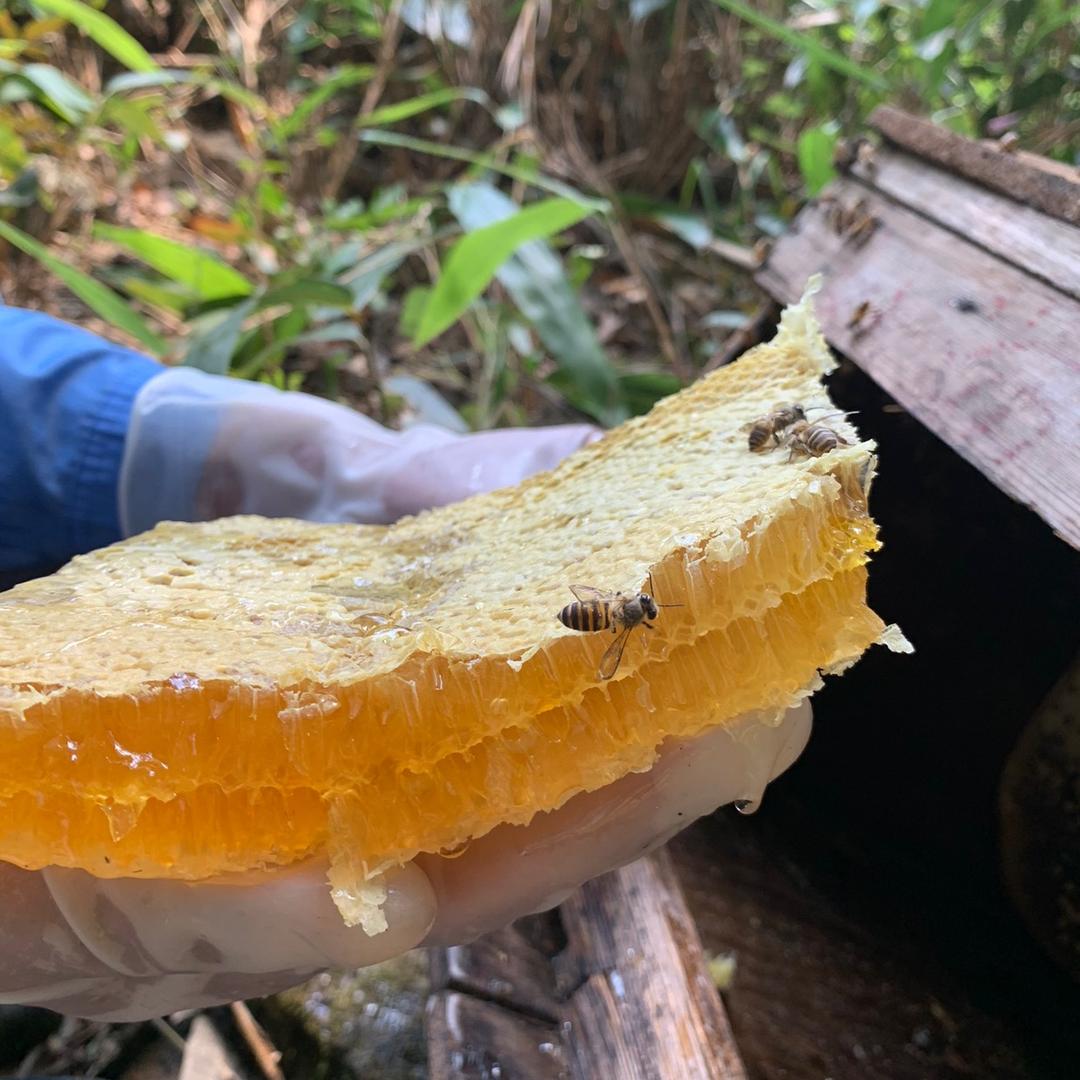 沙仑资溪特色食品小铺子