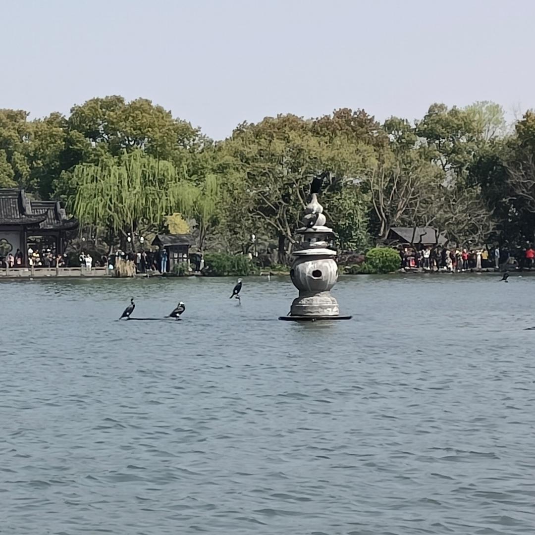 无尘*