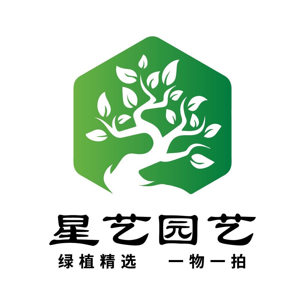 广州星艺园艺