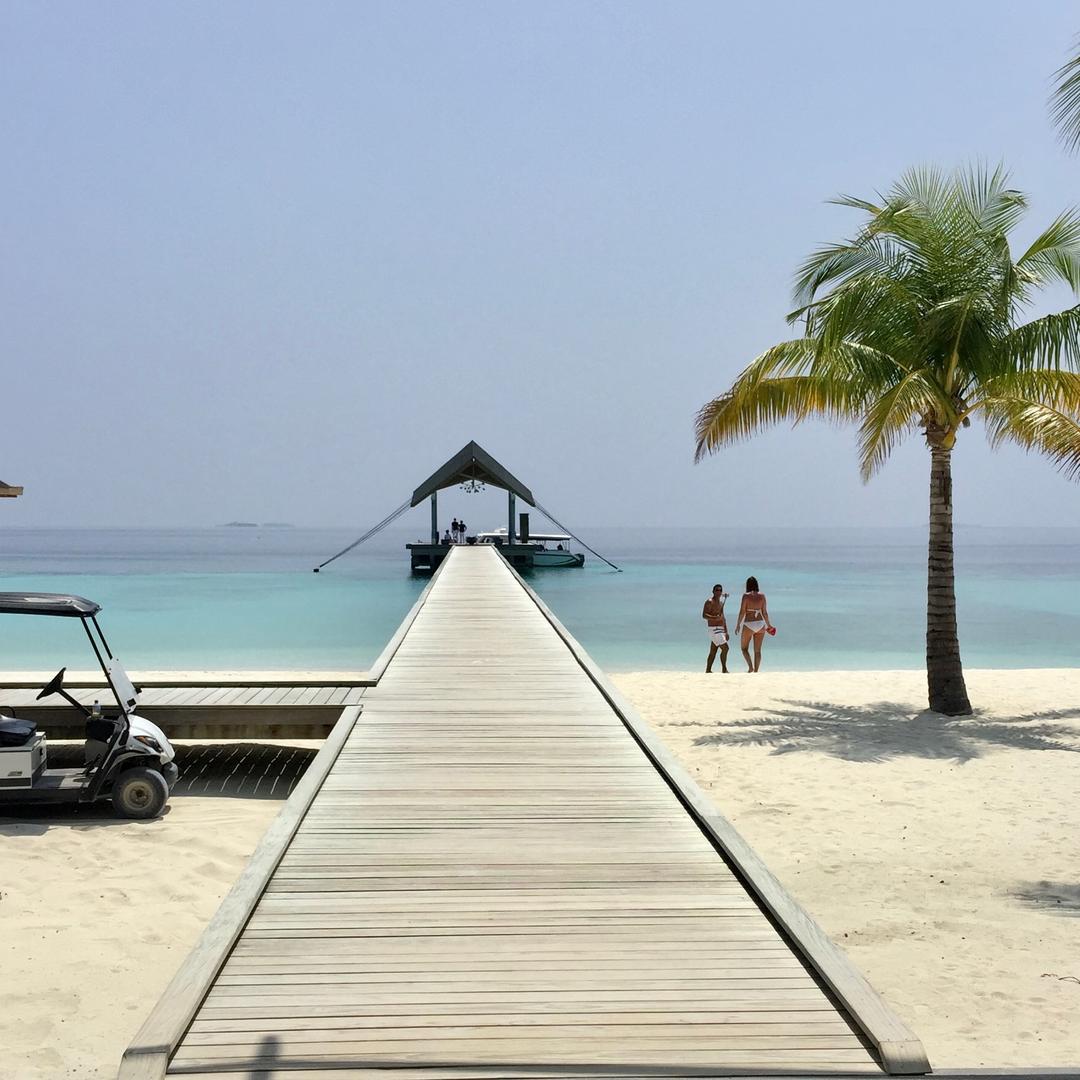 ✨鸿楼💫雅客💞