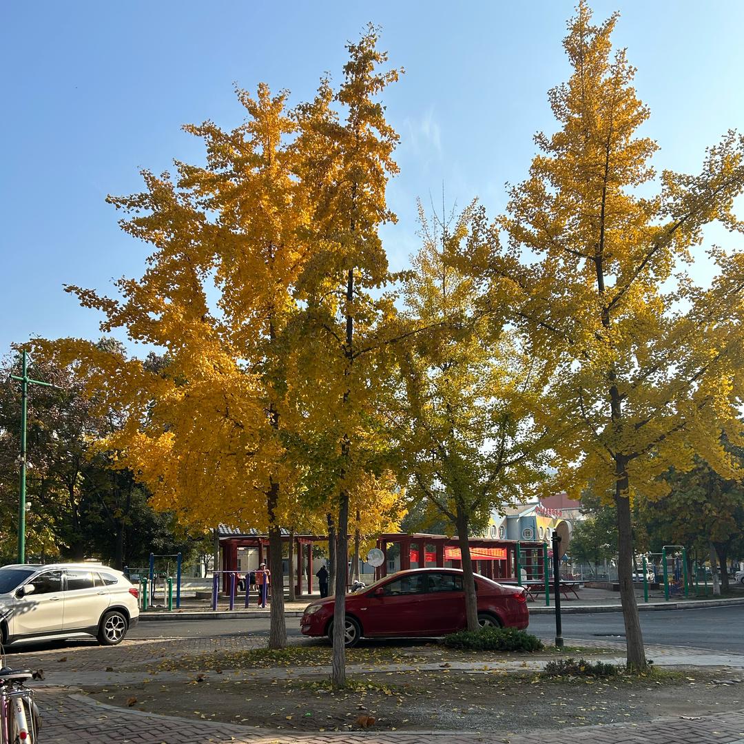 萱萱吖