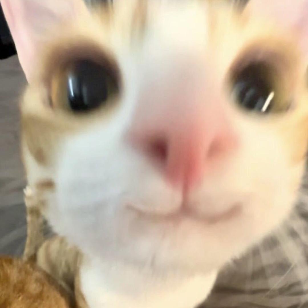不搞笑小小默