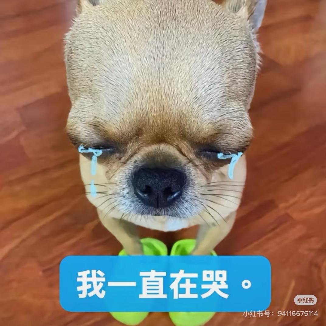 今天吃什么