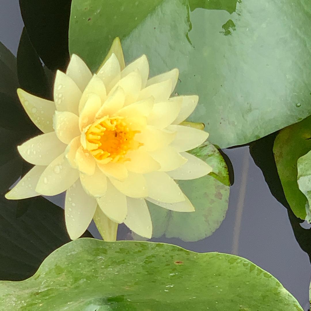 爱☀︎ 🍒🫐🍇🍓