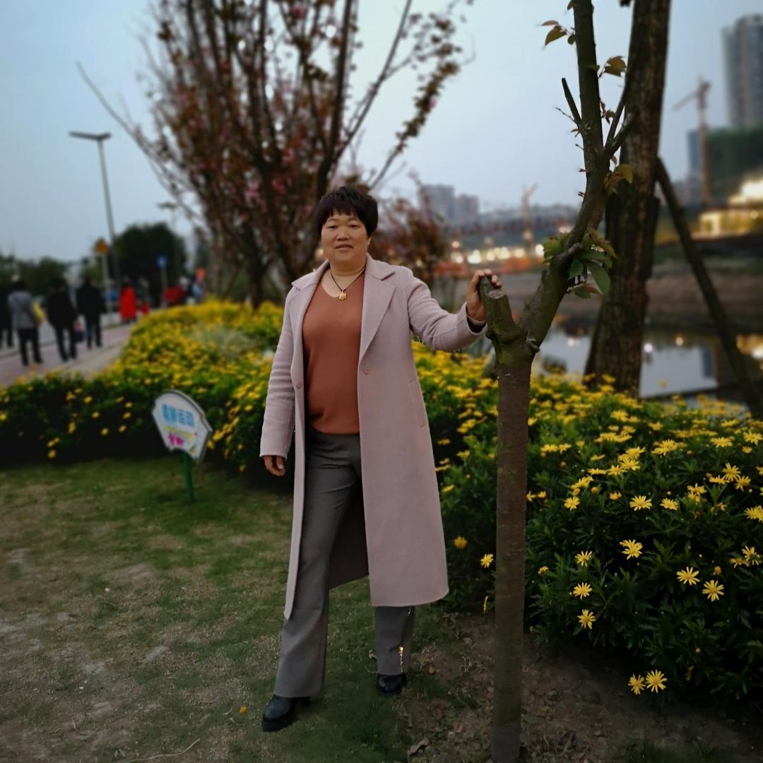聪姐