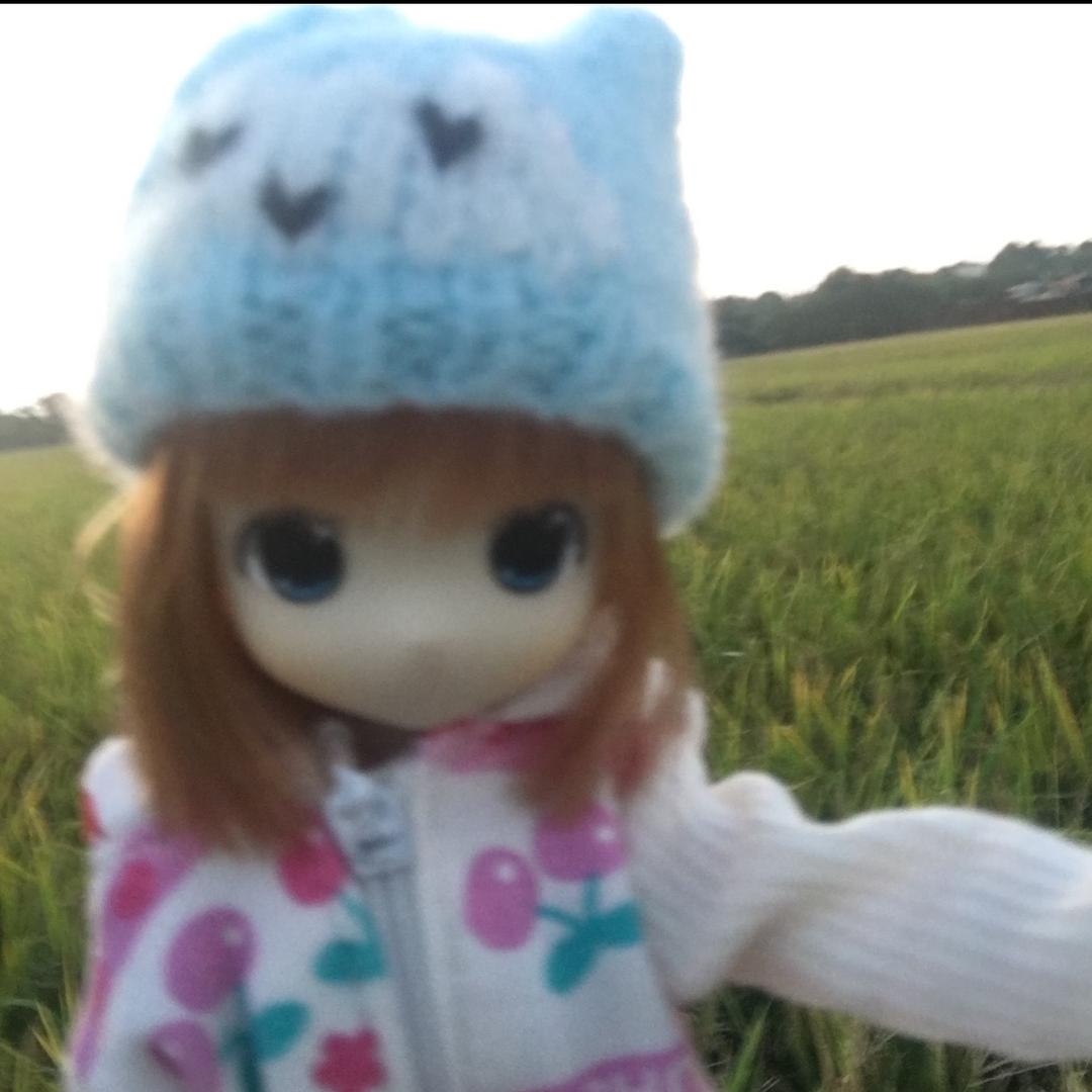 chakko